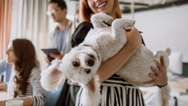 A family playing with their dog.