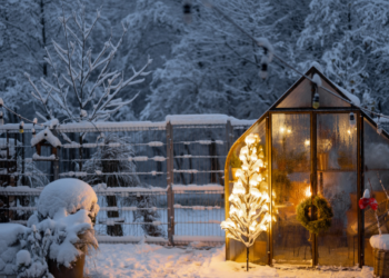 A greenhouse in winter.