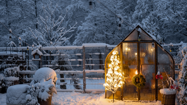 A greenhouse in winter.