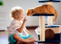 A kid playing with a cat.