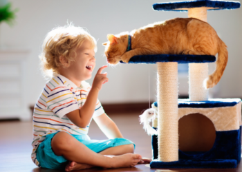 A kid playing with a cat.