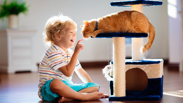 A kid playing with a cat.