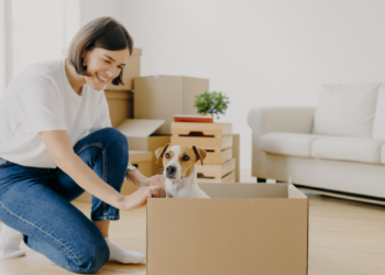 A dog in a moving box.