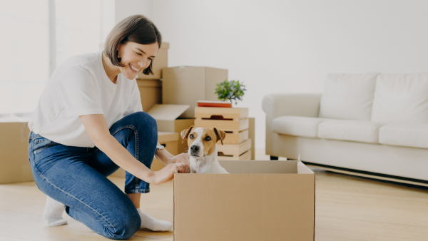 A dog in a moving box.