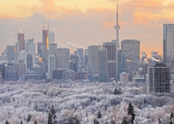 Snowy view of the Toronto skyline
