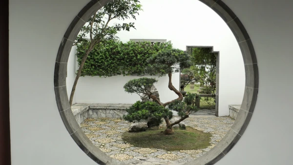 A zen garden.