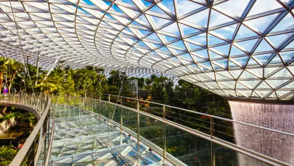 Glass bridge.