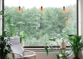 A window with plants.