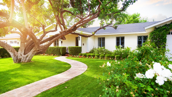 A home with shrubs and trees.