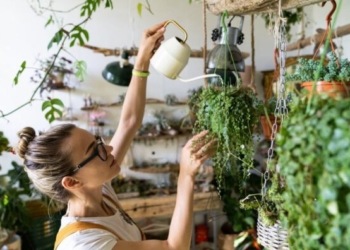 woman watering plants at home