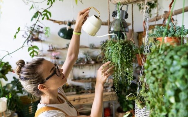 woman watering plants at home