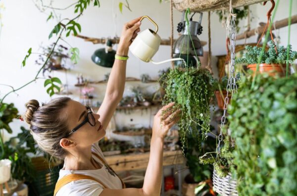 woman watering plants at home