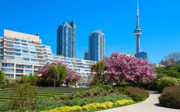 Garden and walkway in downtown Toronto