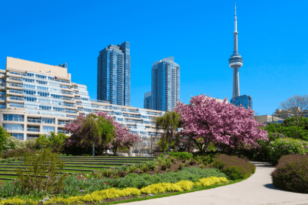 Garden and walkway in downtown Toronto