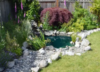 A backyard water fountain.