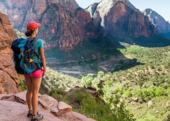 A hiker overlooking a large forest in a national park.