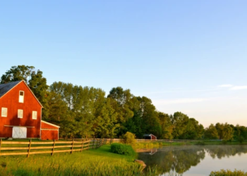 A red barn in the middle of a large field surrounded by a lake.