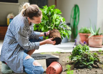 A woman gardening