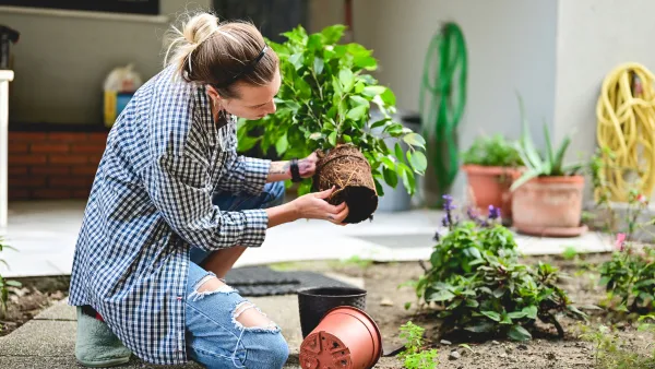 A woman gardening