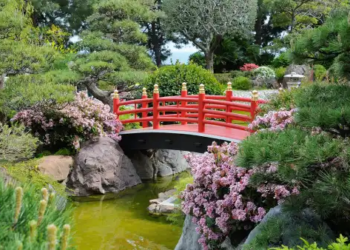 A japanese zen garden.
