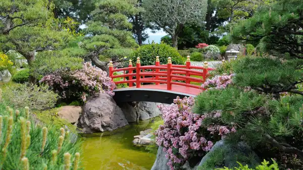 A japanese zen garden.