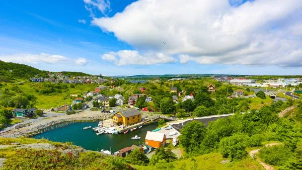 Newfoundland on a bright and sunny day