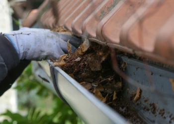 Someone clearing debris out of a gutter