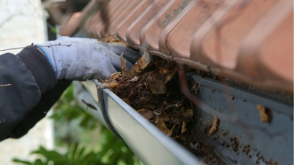 Someone clearing debris out of a gutter