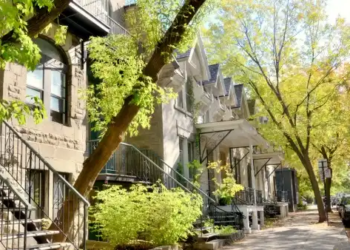Treelined suburbs with townhouses in Quebec