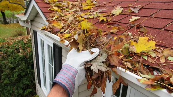 Someone cleaning a gutter