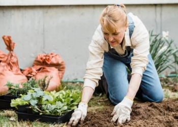 Woman planting bulbs