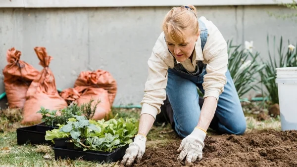 Woman planting bulbs