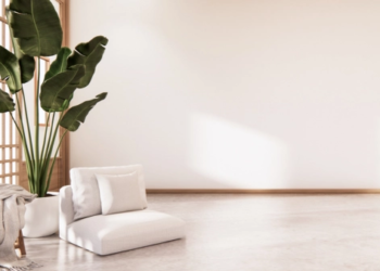 A neutral coloured room with a large potted plant
