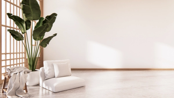 A neutral coloured room with a large potted plant