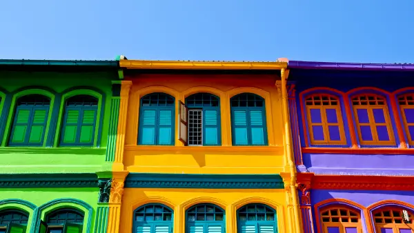 Green, yellow, purple homes in a row.
