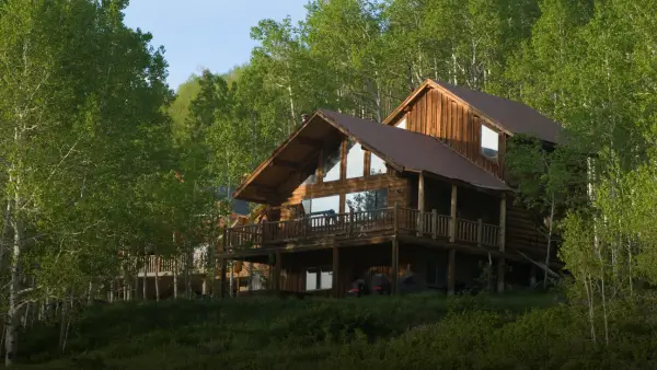 A modern treehouse.