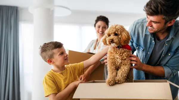 A family with their dog, surrounded by moving boxes.