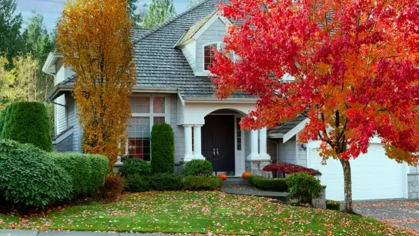 autumn leaves changing in a tree in front of a house