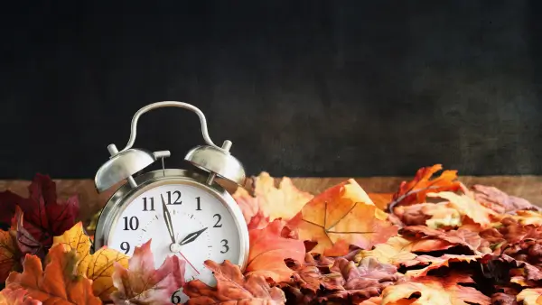 A clock in a pile of leaves.