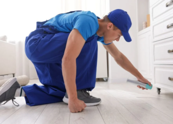 pest control
