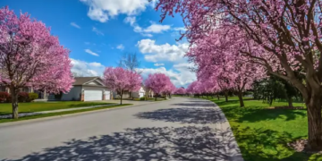 A neighbourhood of houses in spring.