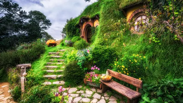 A woodland home.