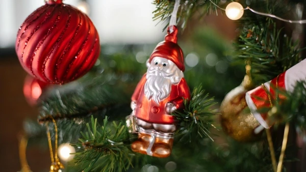 Red ornaments on a christmas tree