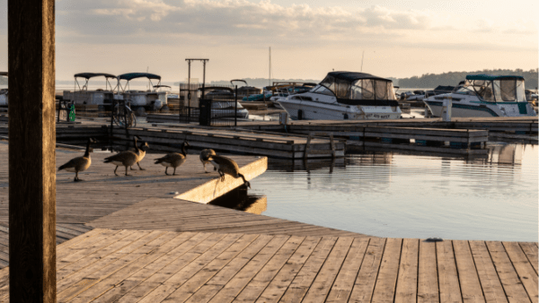 A dock in Port Perry, ON.