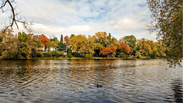 View of fall foliage in Stratford, ON