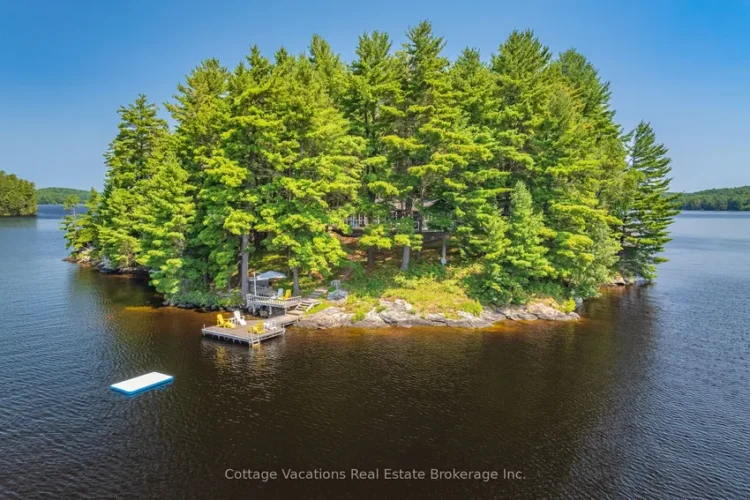 Birds-eye view of an island in Mary Lake