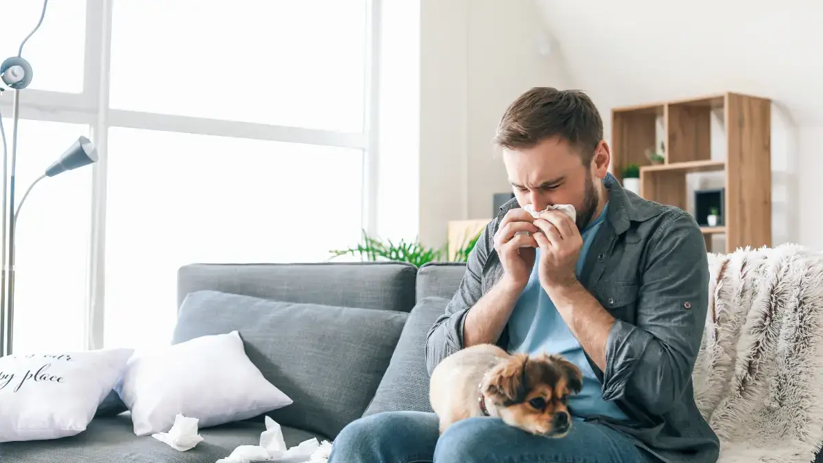A man on a couch with a dog, using a tissue to blow his nose.