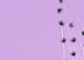 fake spider in purple background