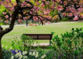 A park bench surrounded by lush trees and colorful flowers.