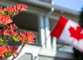 canadian flag
